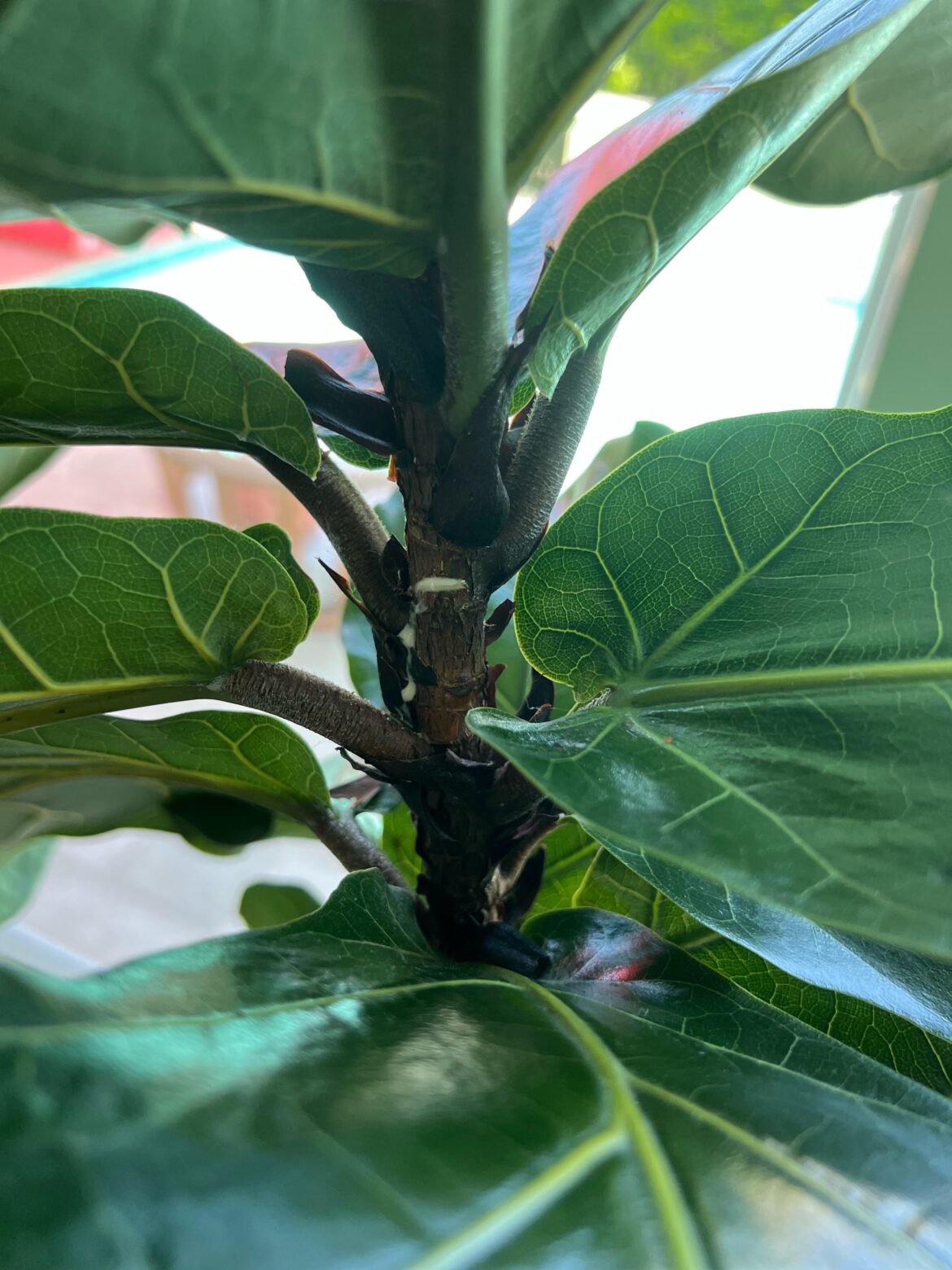 It this notching correct?