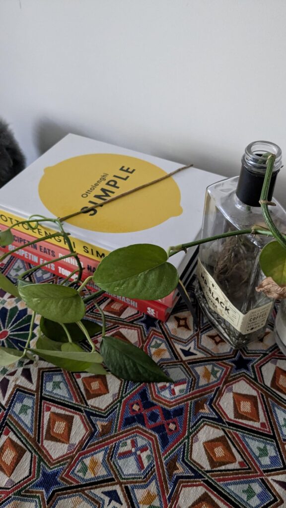 My pothos has rooted on a recipe book. Is this bad? My pothos has rooted on a recipe book. Is this bad?