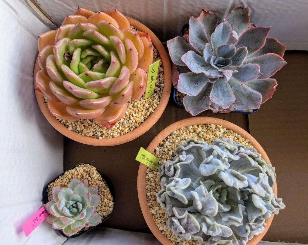 Identification help appreciated please 🙏