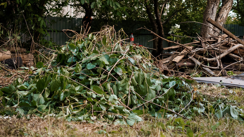 pile of debris in yard