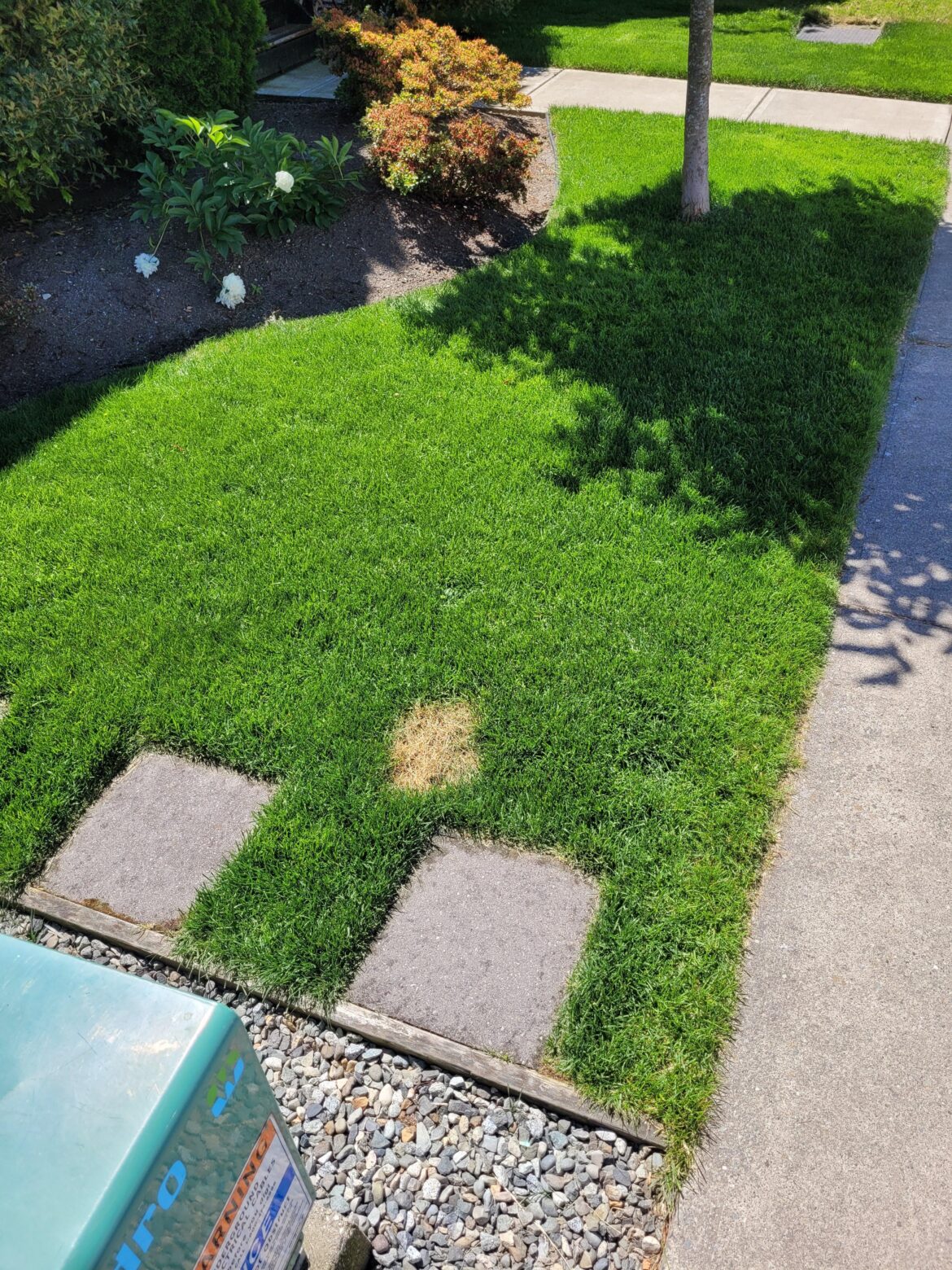 Single yellow spot – 2 years in a row! Single yellow spot - 2 years in a row!