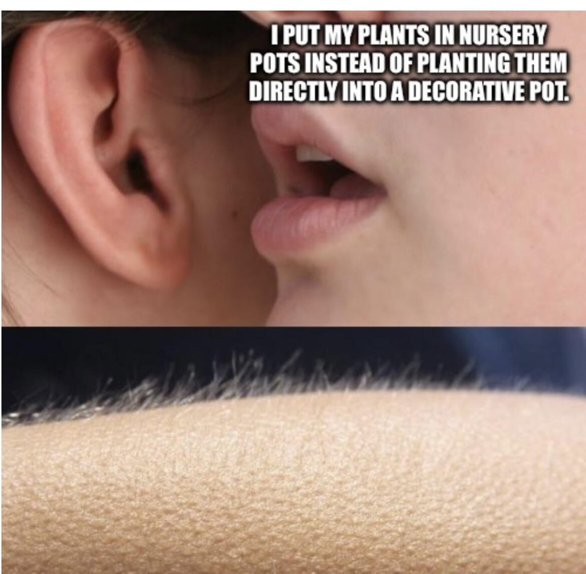 How to turn your plant partner on.