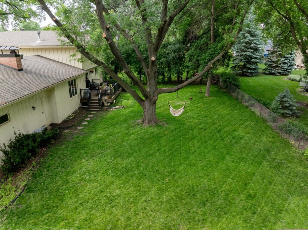 Back yard has come a long way since the previous owners neglect - Minnesota, USA