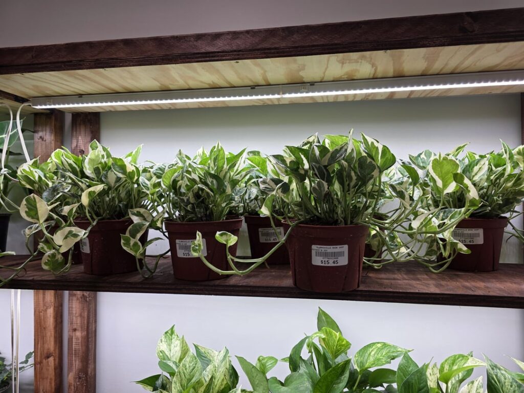 After a YEAR of searching I FINALLY FOUND HER After a YEAR of searching I FINALLY FOUND HER