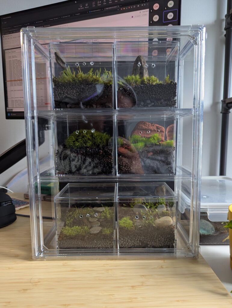 Mossarium Librarium :)