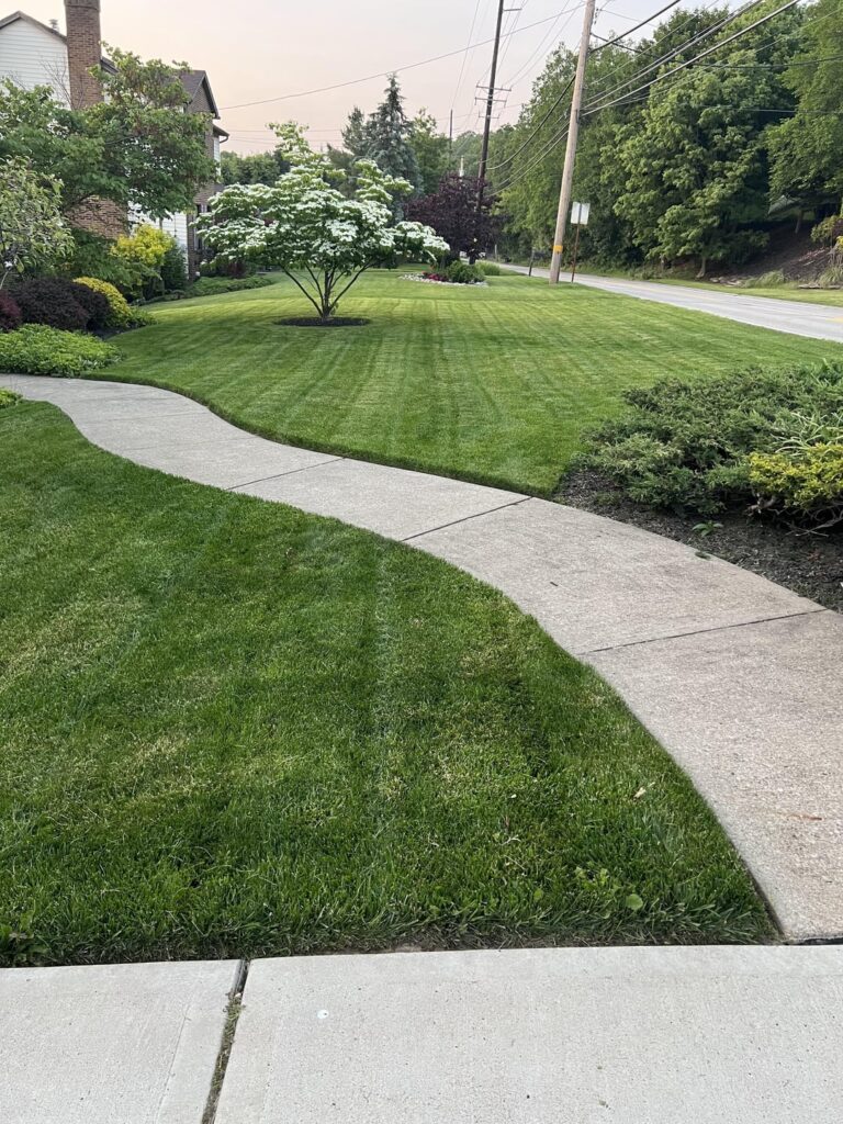 Business in the front. 42” Lesco in the back