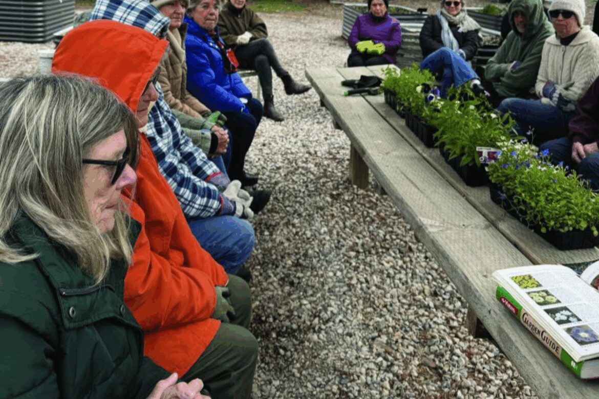 Chilly Morning At Colour In The Winter Garden Workshop | The Hilltops Phoenix