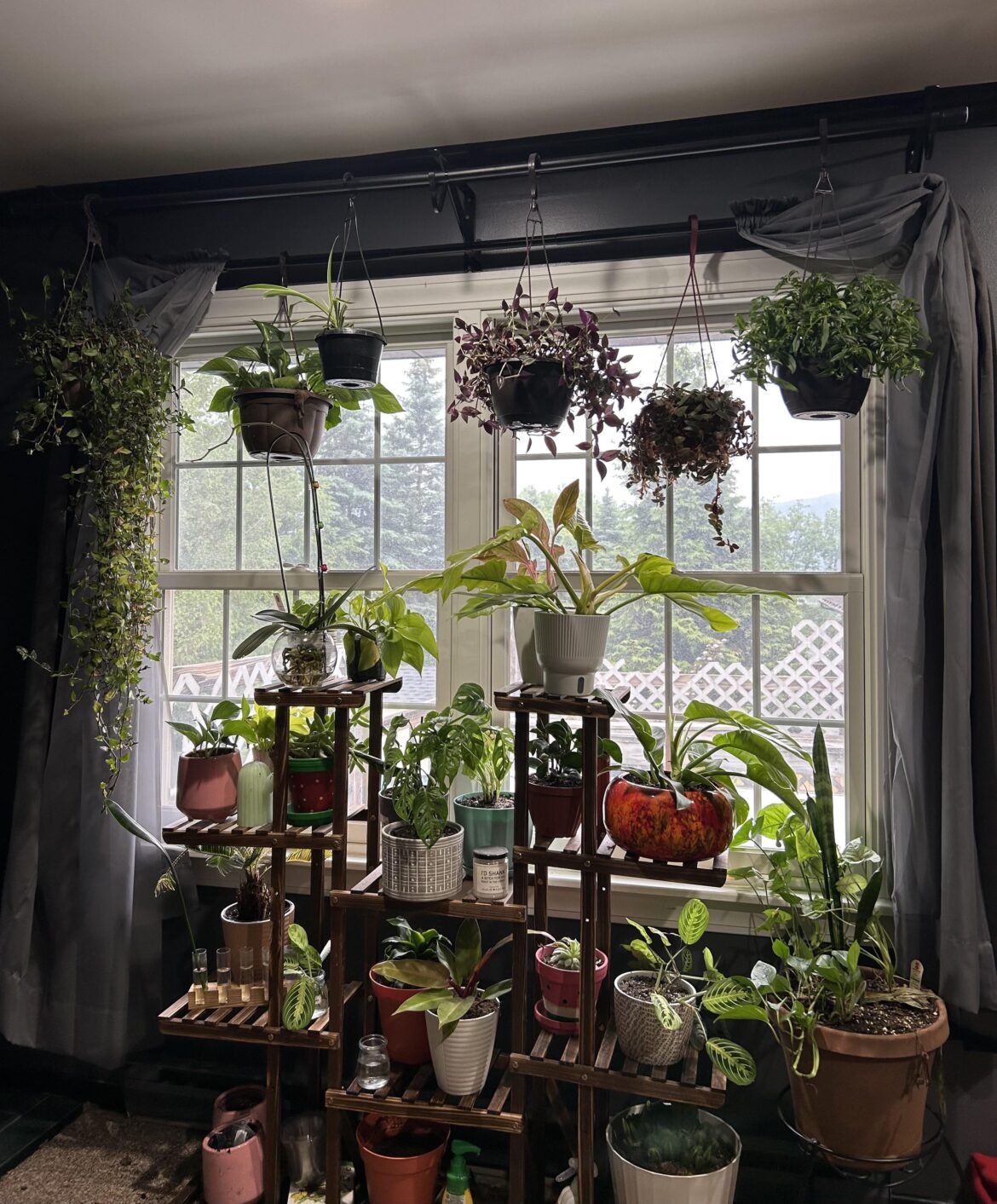 Thank you for the suggestions!