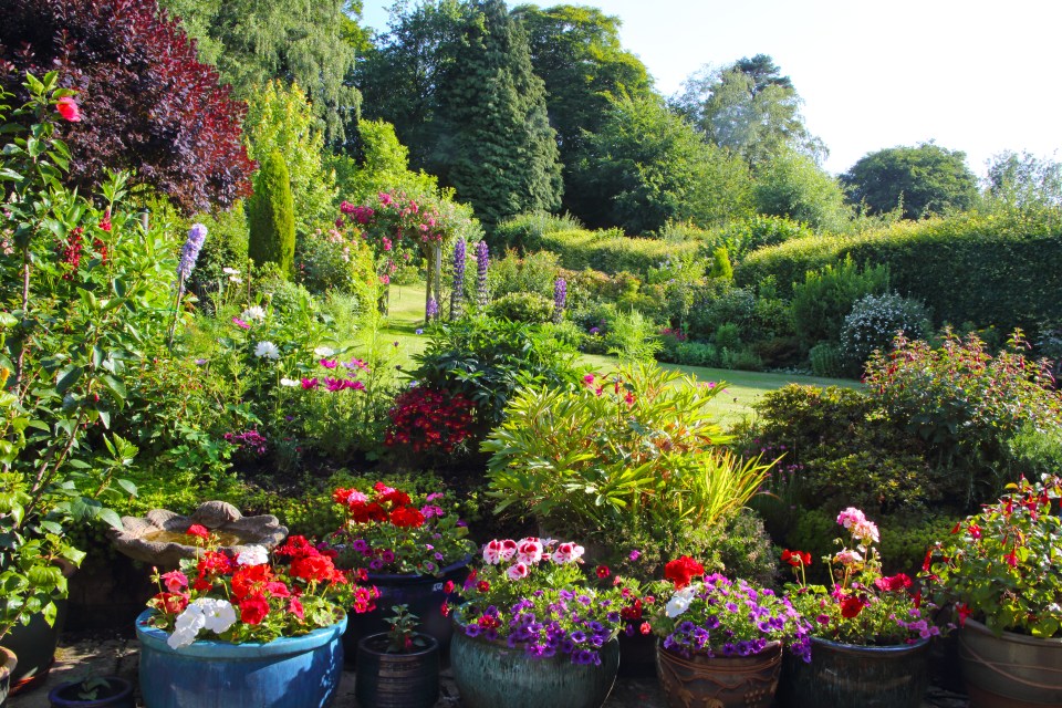 A colorful garden in full bloom.