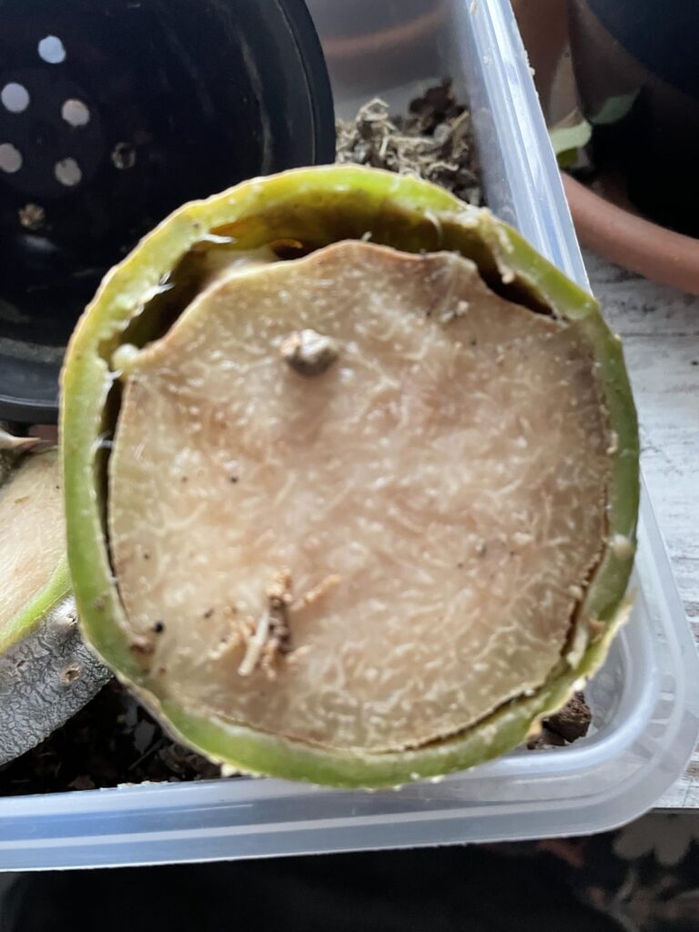 I am Absolutely devastated.