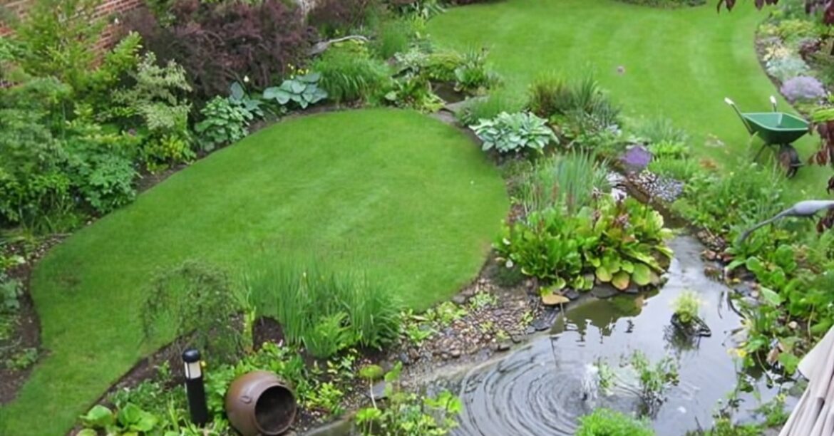 Create a Sanctuary for Birds, Bees, and Butterflies