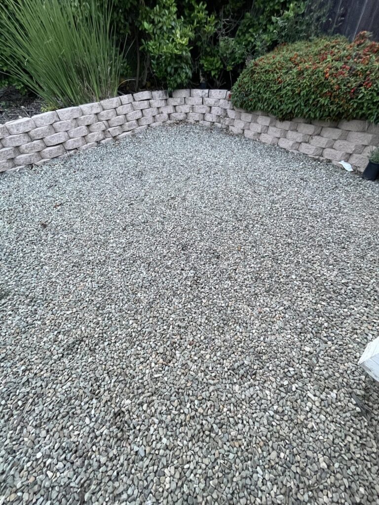 Thank you. I’ve been following this sub and now I have my first lawn Thank you. I’ve been following this sub and now I have my first lawn