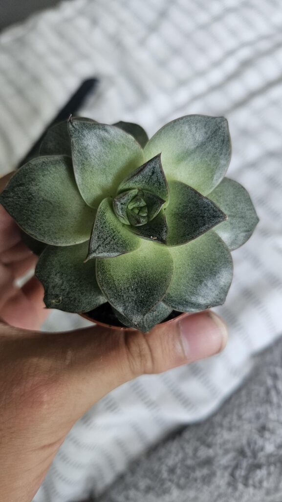 Id help please