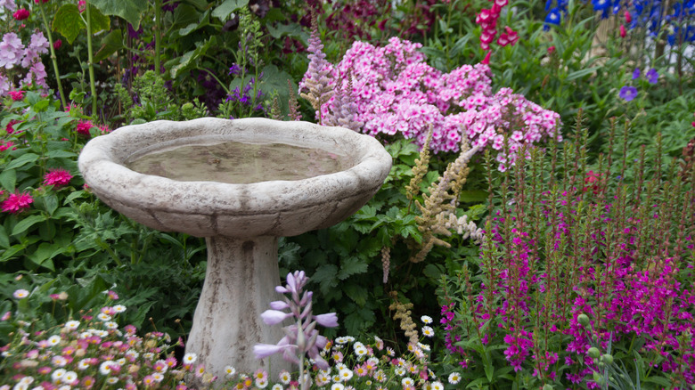 A concrete birdbath is surrounded by English cottage garden flowers
