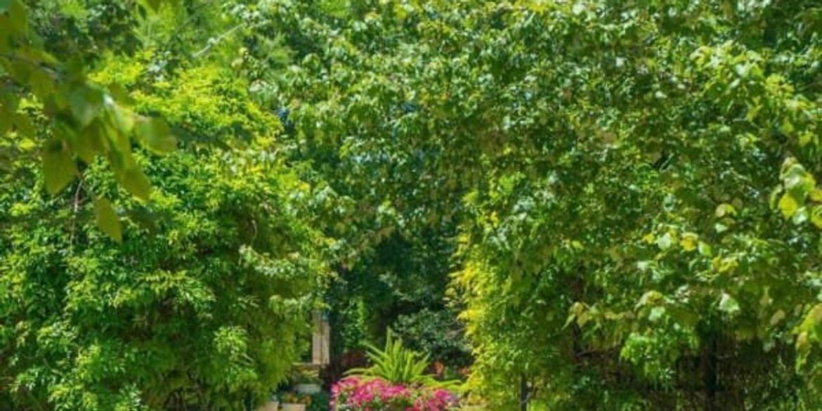 Fort Worth Botanic Garden entrance will be complicated Fort Worth Botanic Garden entrance will be complicated