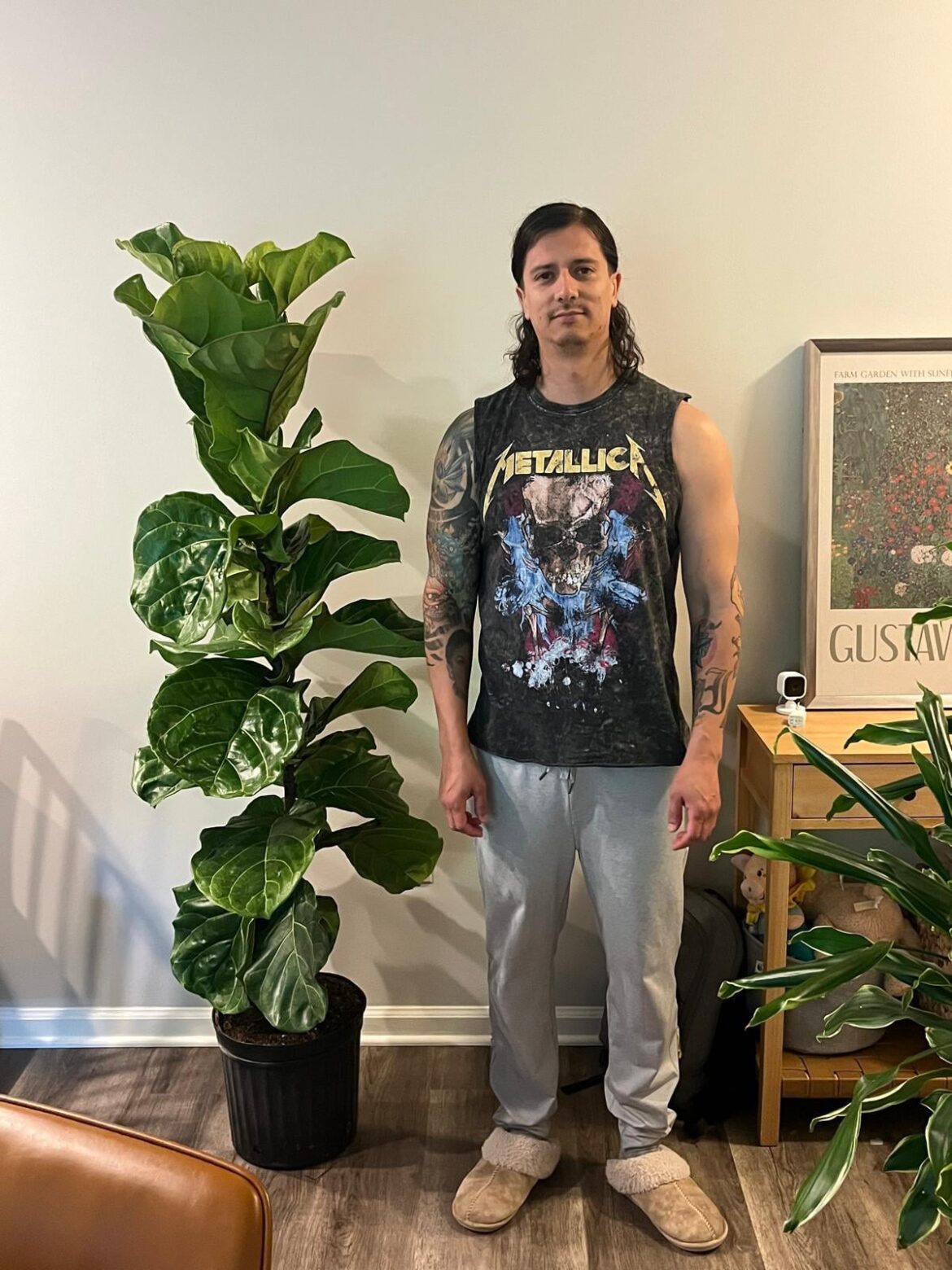 Fiddle Leaf find!