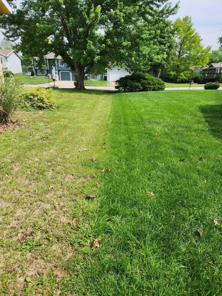 Maybe I went too hard with the iron...