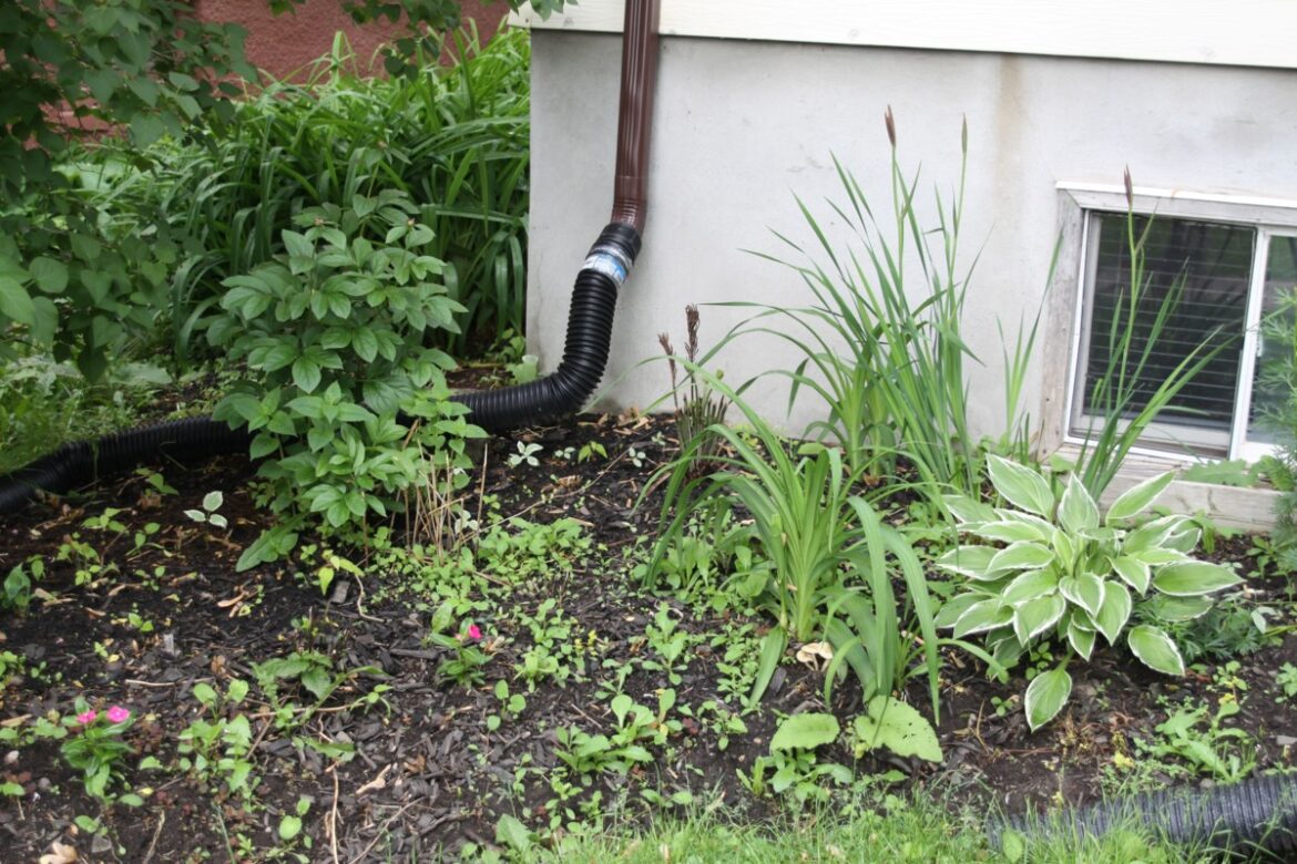 More than just plants stolen by garden thief