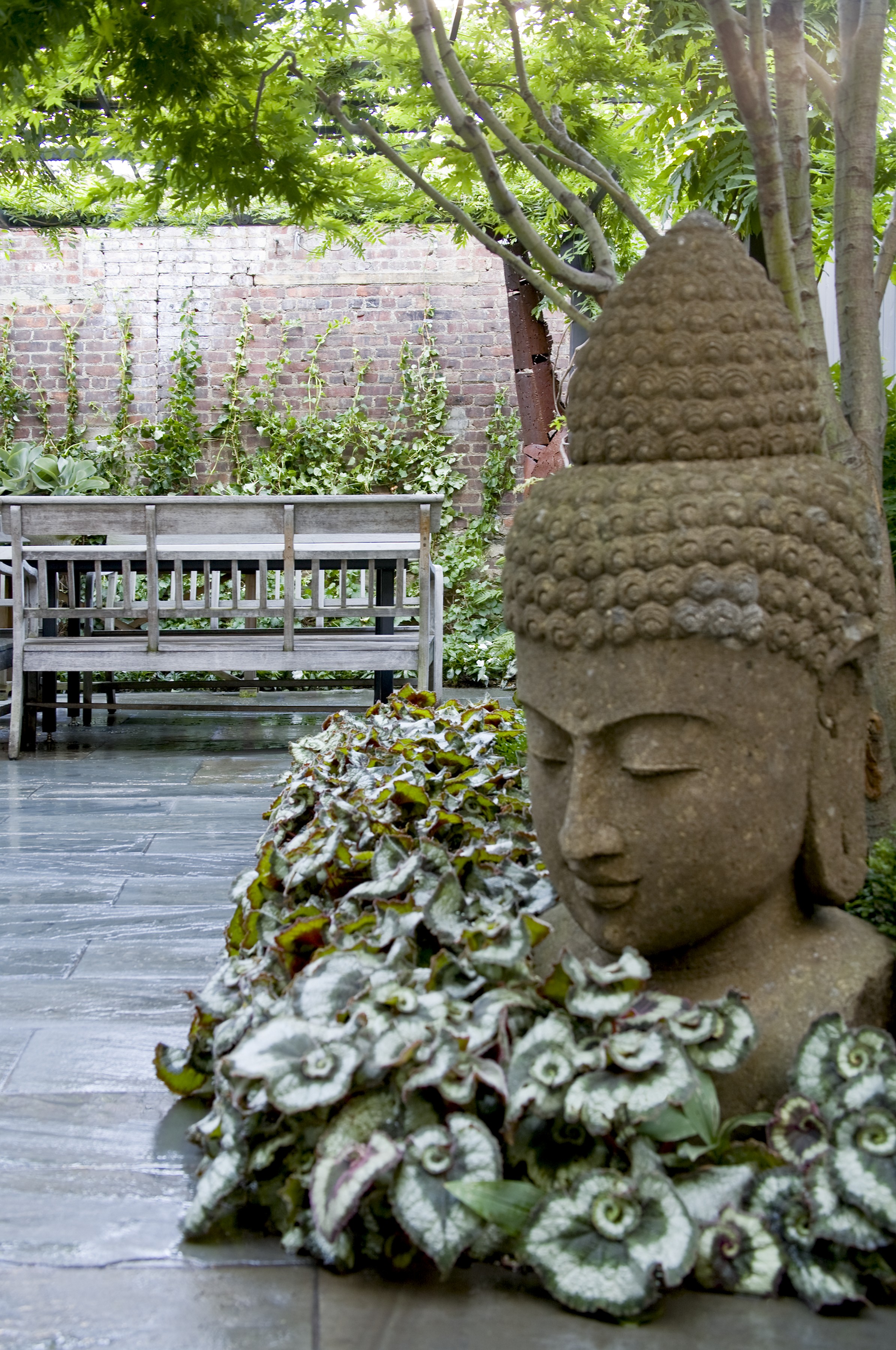CLOSE UP BUDDHA HEAD WITH BEGONIAS