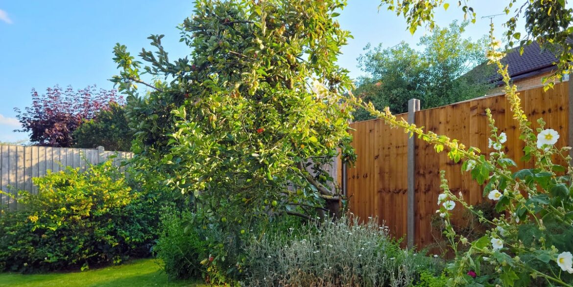 How To Stop Your Garden Fence Rattling How To Stop Your Garden Fence Rattling