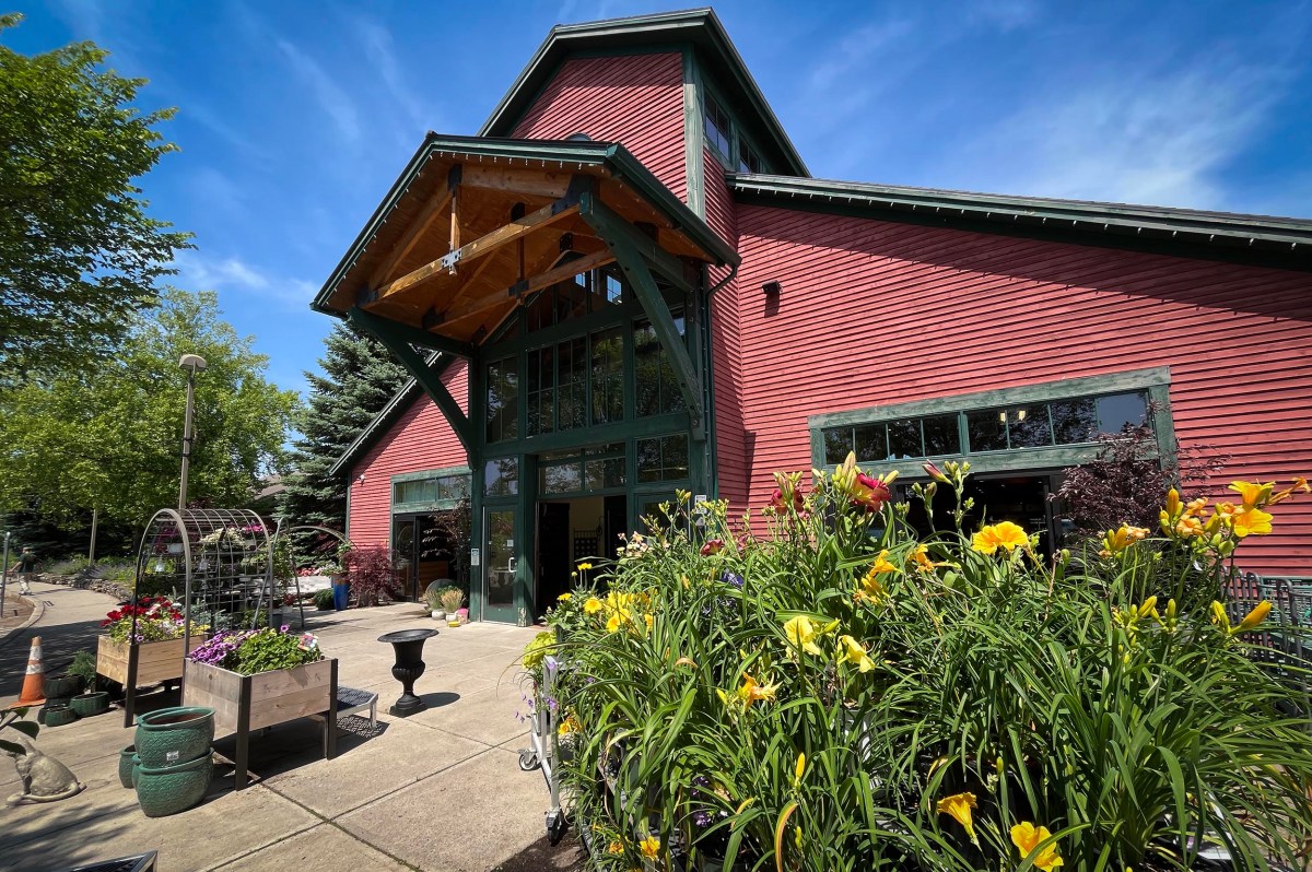 A red barn-style building with large windows and a peaked roof, surrounded by yellow flowers and greenery on a sunny day.