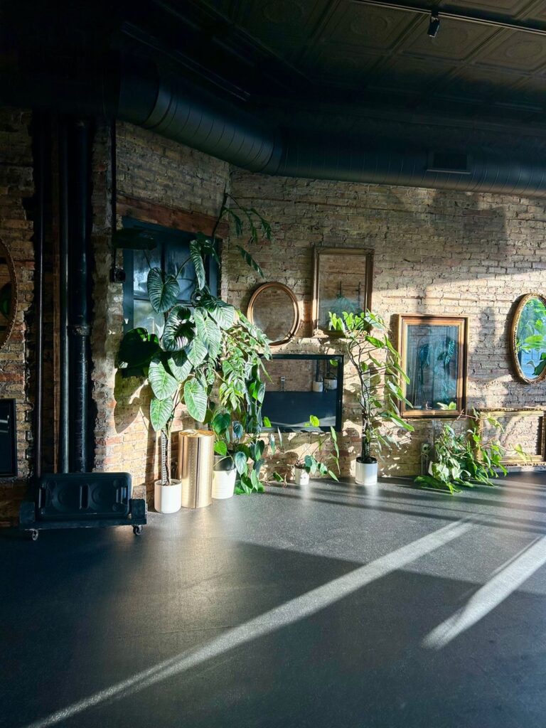 Golden Hour hits them just right