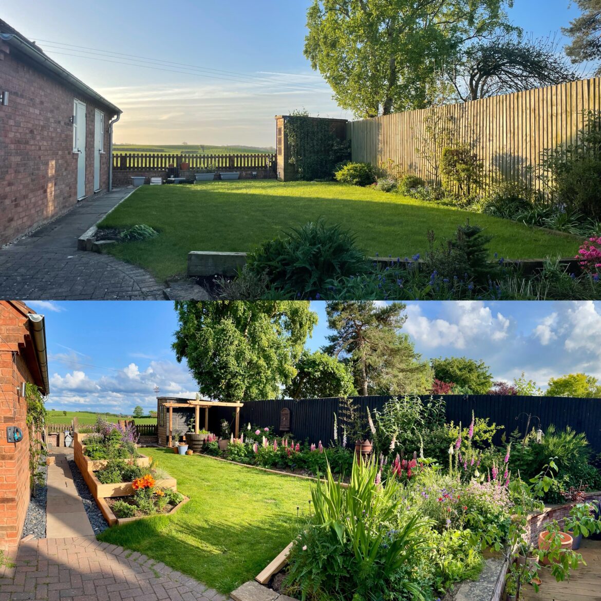 6 months progress in our Staffordshire Cottage Garden