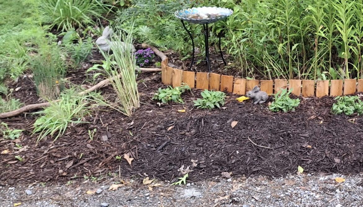 The responses included numerous suggestions.