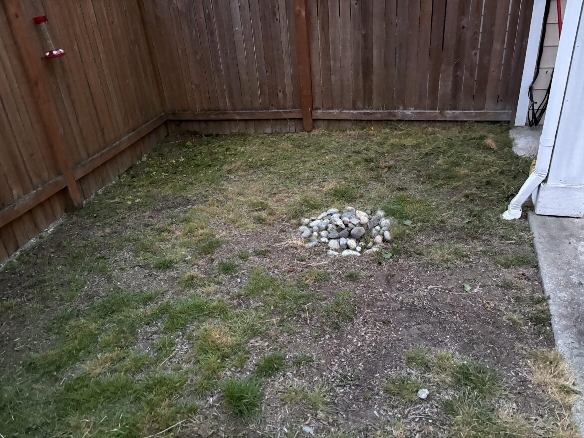 Is this ready for cardboard mulching?