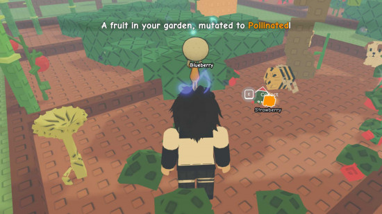 A garden in grow a Garden with a pollinated plant.