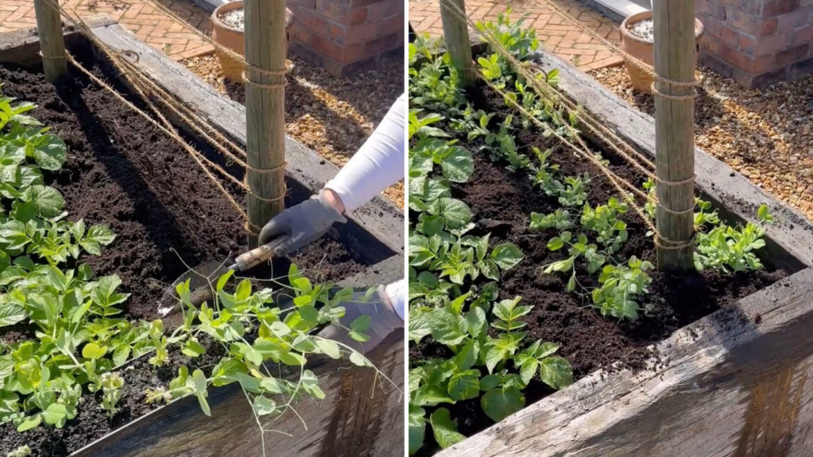 "Makes so much sense."