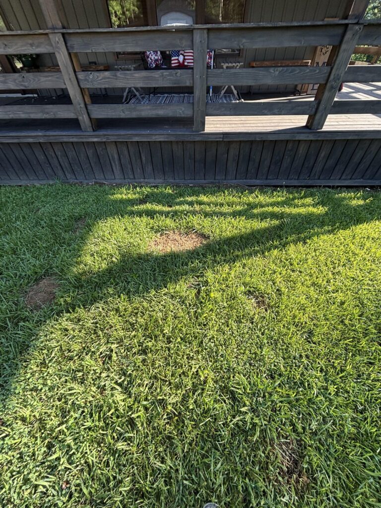 What is causing the spots in our yard? How do we fix them?