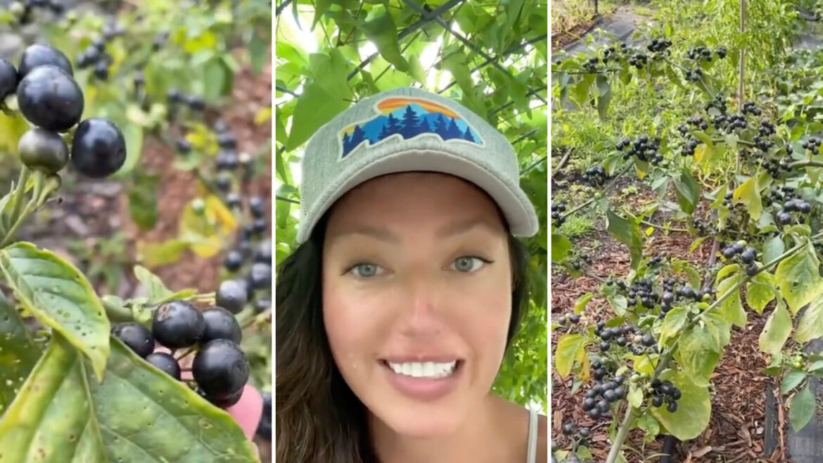 "I know what I'll be using next year."