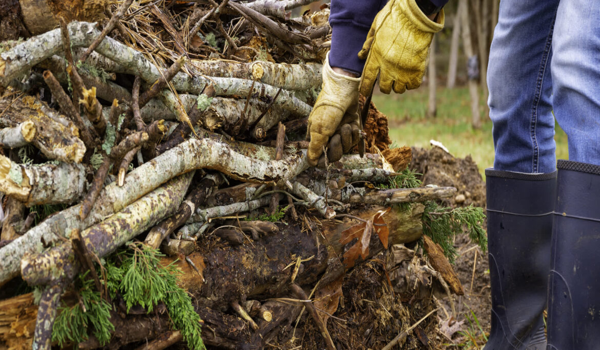 ‘Each bed gets better every year’ "Everything grew amazingly well!"