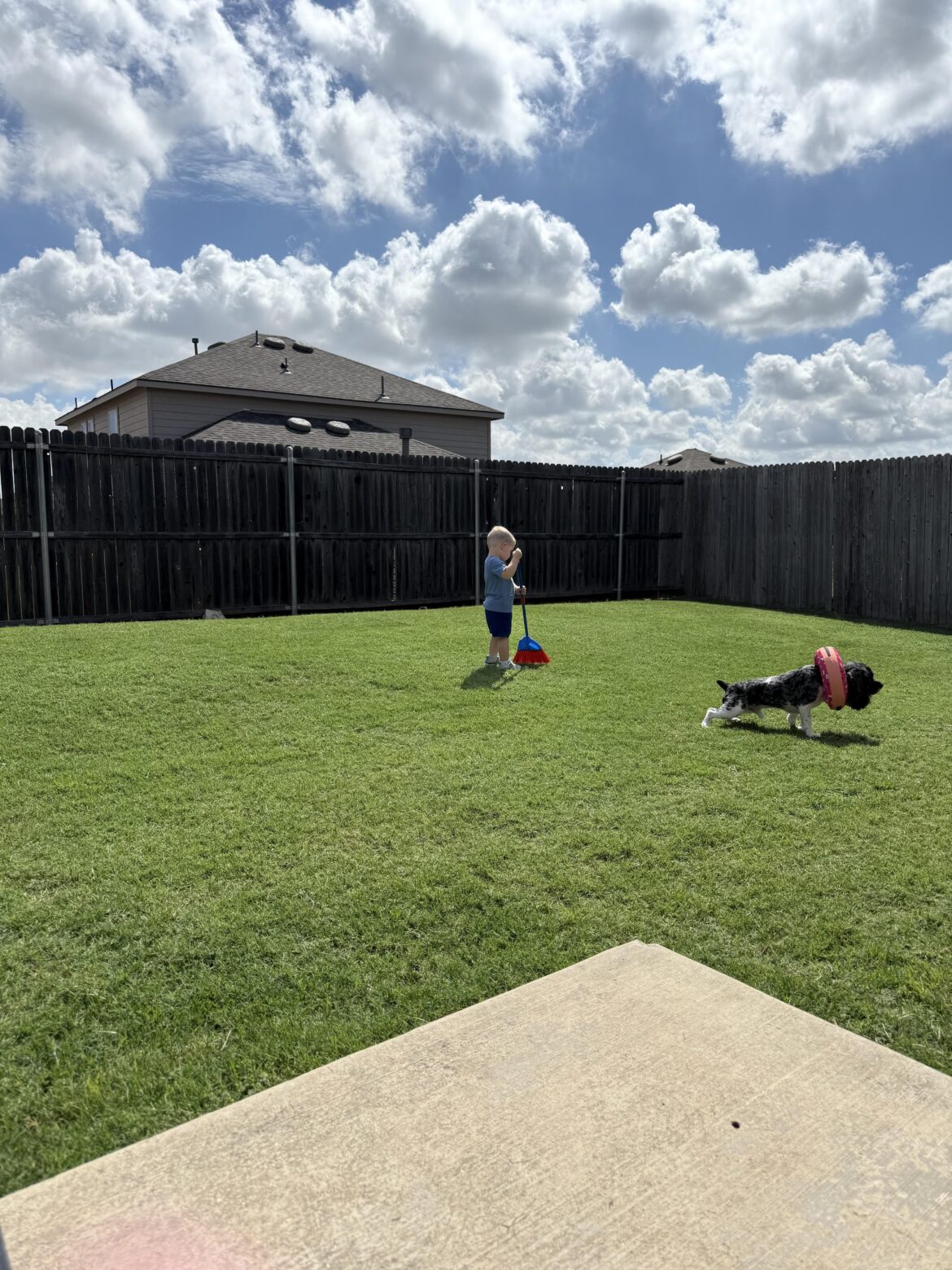 Son wanted to help with the yard.