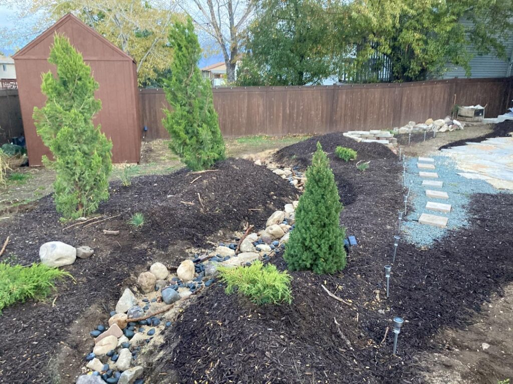 My no lawn yard (progress)