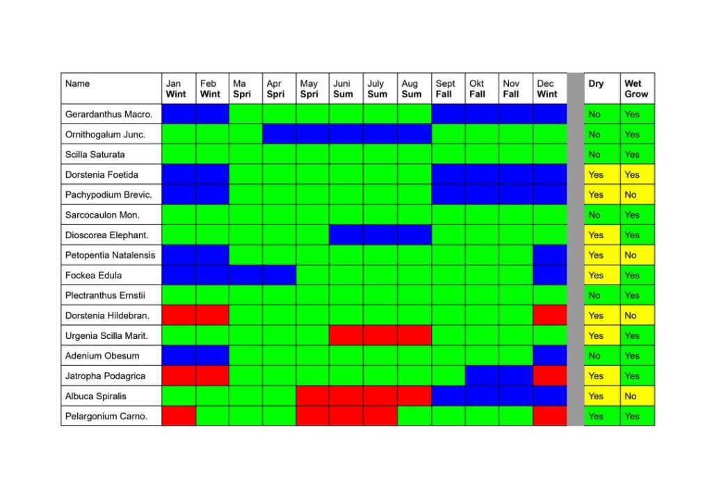 Watering! Third time’s the charm! Watering! Third time's the charm!