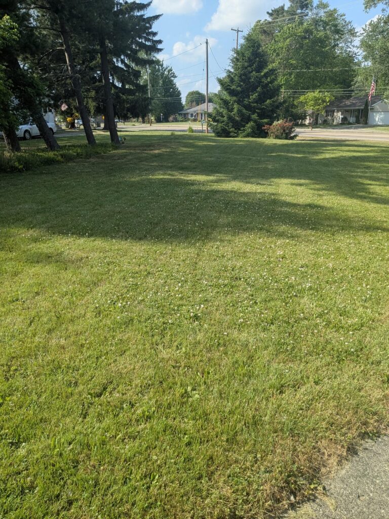 Is it too late to turn this into a meadow this year?