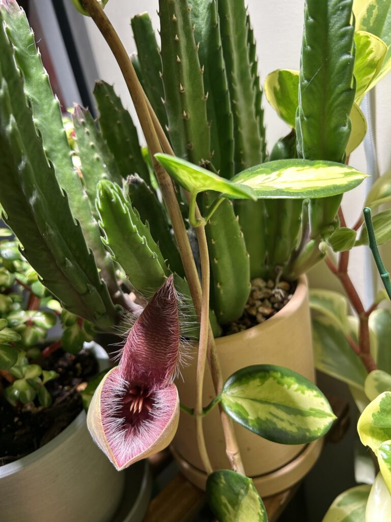 over the course of 30 minutes… over the course of 30 minutes…