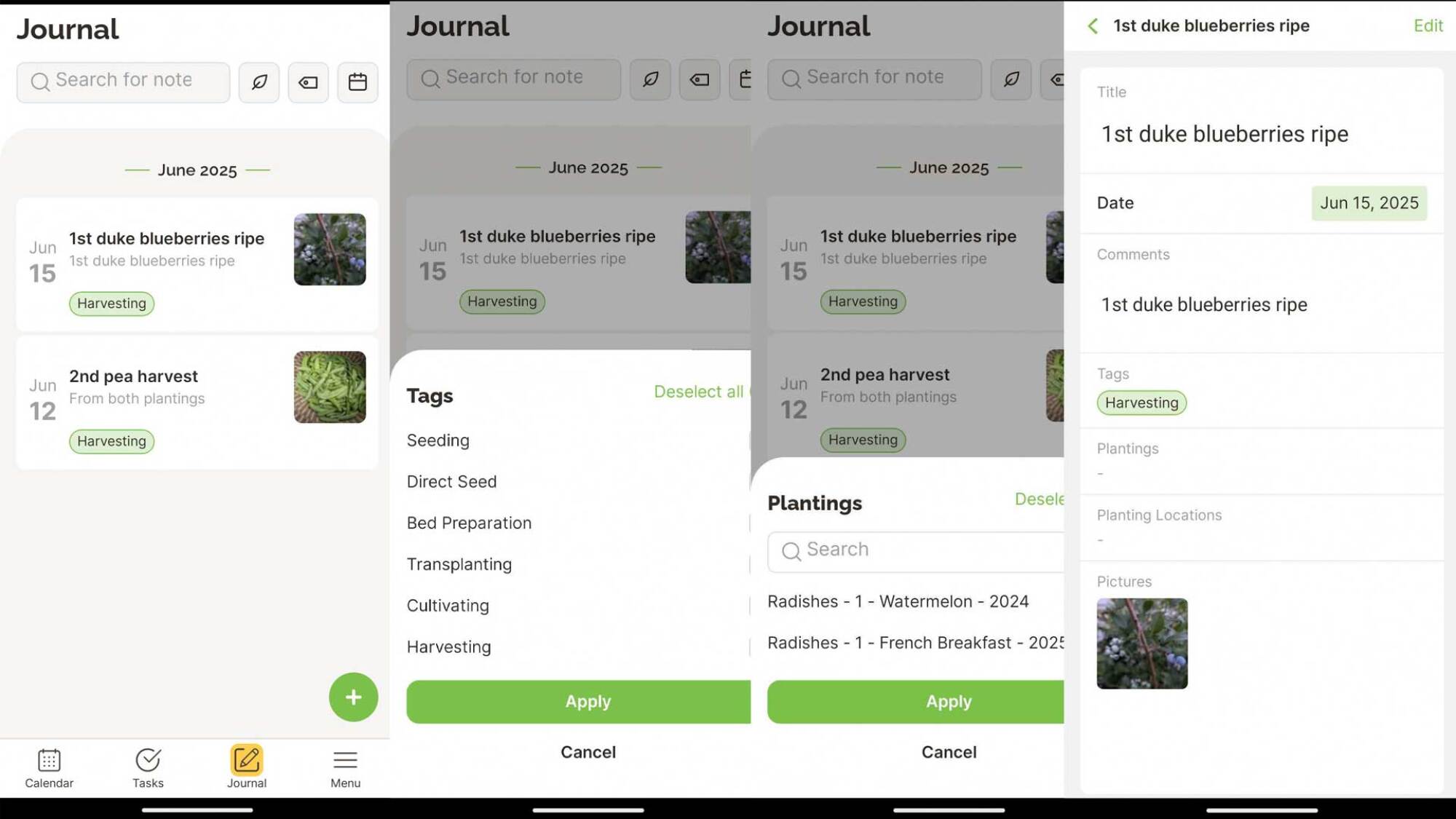 journaling in Seedtime