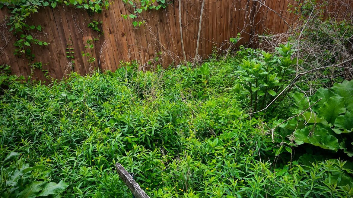 "Think in terms of years, not months."