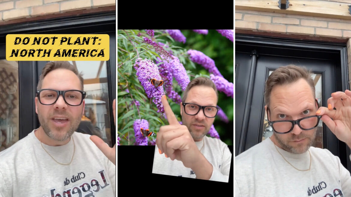 It's best to look up the plant in question and check your state’s regulations.