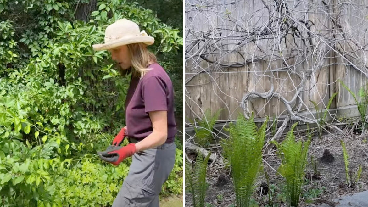 "Know what you have in your yards!"