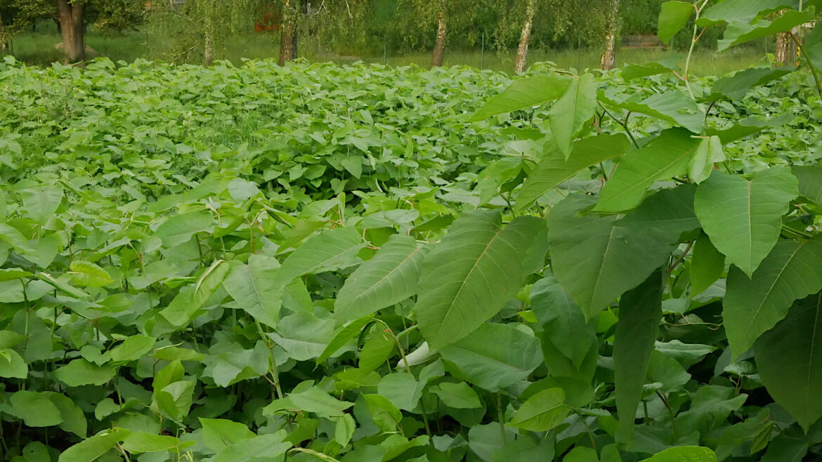 "You have to fight them forever."