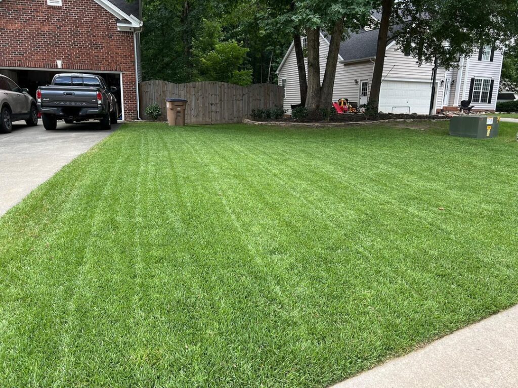 After two years of trial and error…