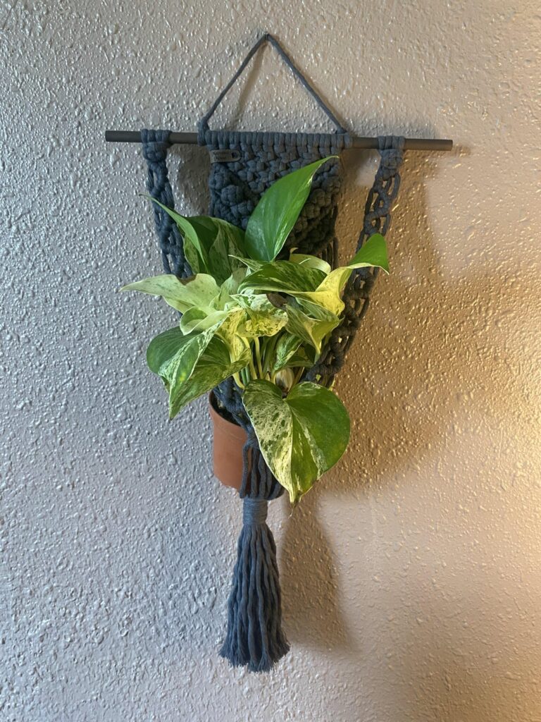 brought home a marble queen with a few half moons!!