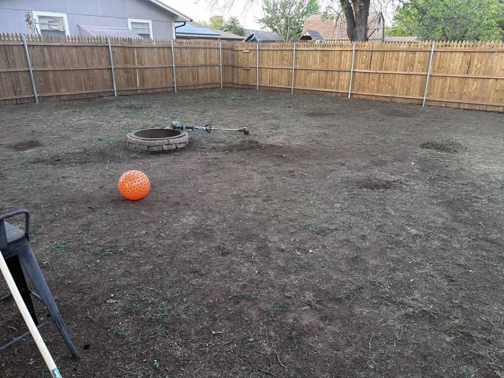 Yard update from 4/10 to 6/7. We live in north Texas