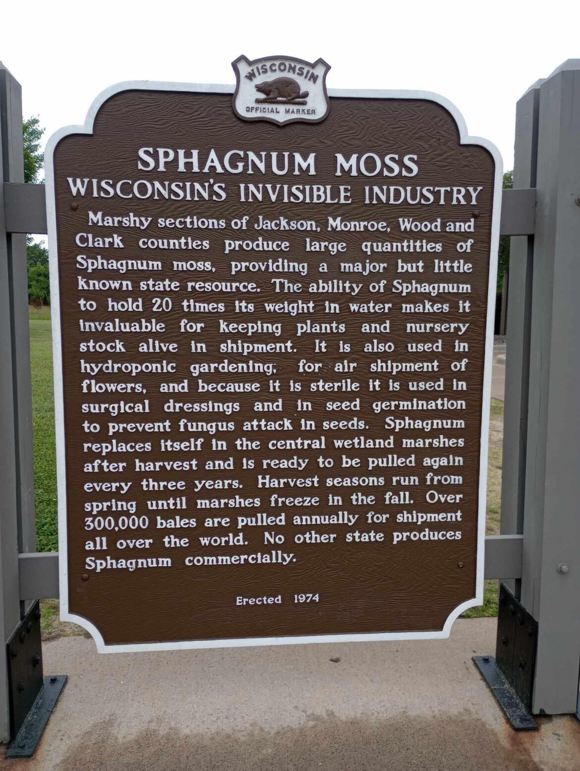 I learned from you all what sphagnum moss is, and this random rest area sign told me where it comes from