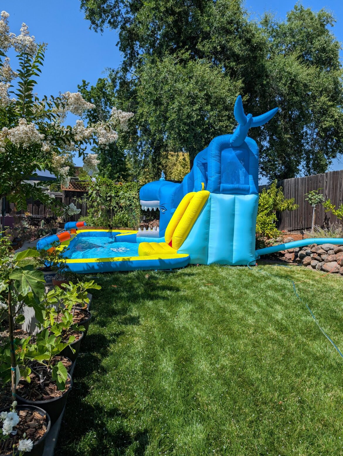 Welp. There goes all the hard work.