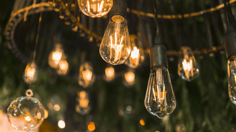 A variety of vintage Edison bulbs are strung up outdoors